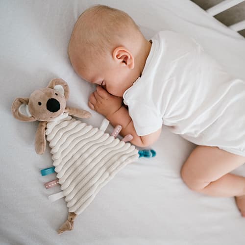 Babyono-109588 Flat cuddly toy KOALA CHARLIE