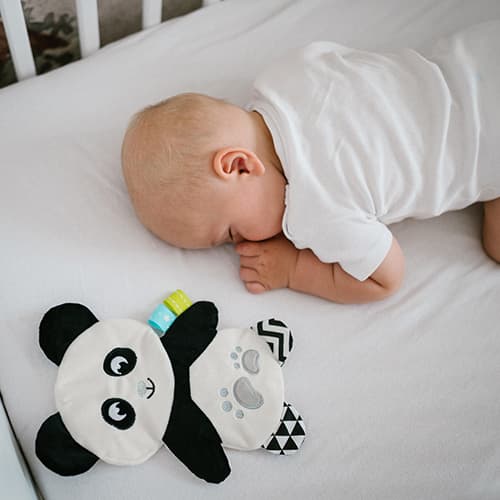 Babyono-109587 Flat cuddly toy Panda Polly